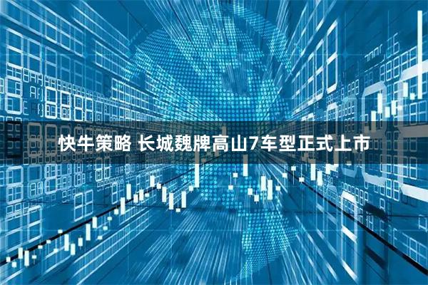 快牛策略 长城魏牌高山7车型正式上市