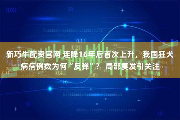 新巧牛配资官网 连降16年后首次上升，我国狂犬病病例数为何“反弹”？ 局部复发引关注