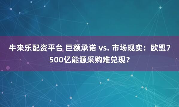 牛来乐配资平台 巨额承诺 vs. 市场现实:欧盟7500亿能源采购难兑现?