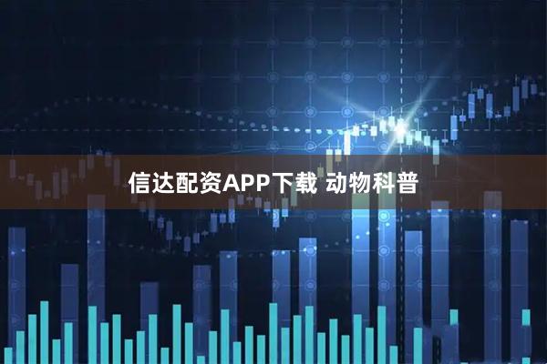 信达配资APP下载 动物科普