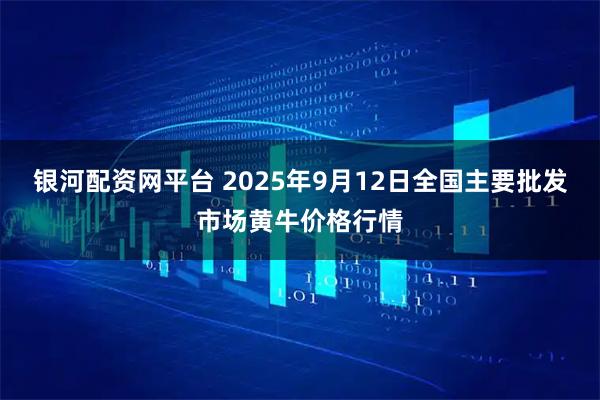 银河配资网平台 2025年9月12日全国主要批发市场黄牛价格行情